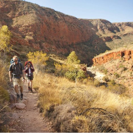 Why Is Hiking So Popular?