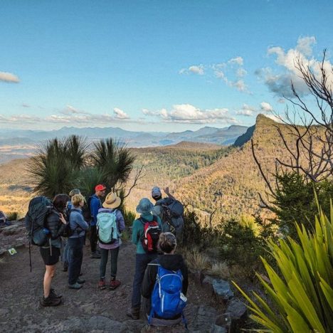 Mastering The Two Bays Trail Run: A Veteran’S Blueprint For Success