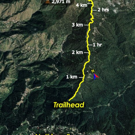 Are Chacos Suitable for Hiking? An Analyst’s View